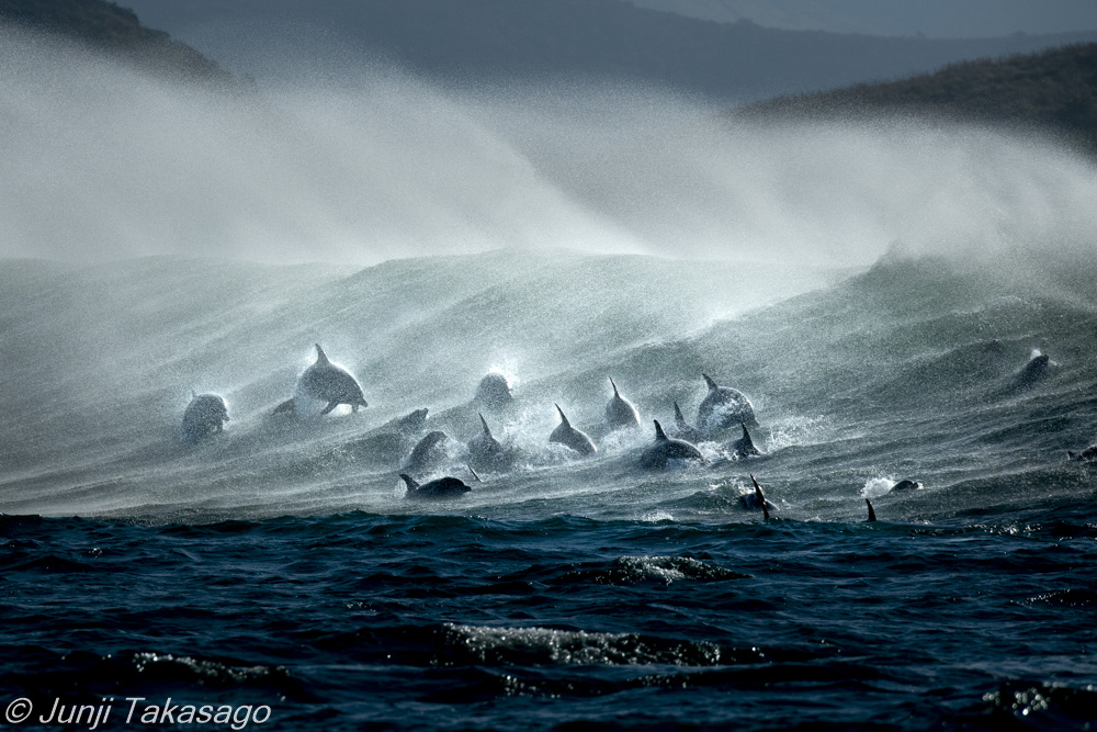 高砂淳二 写真集「PLANET of WATER」3