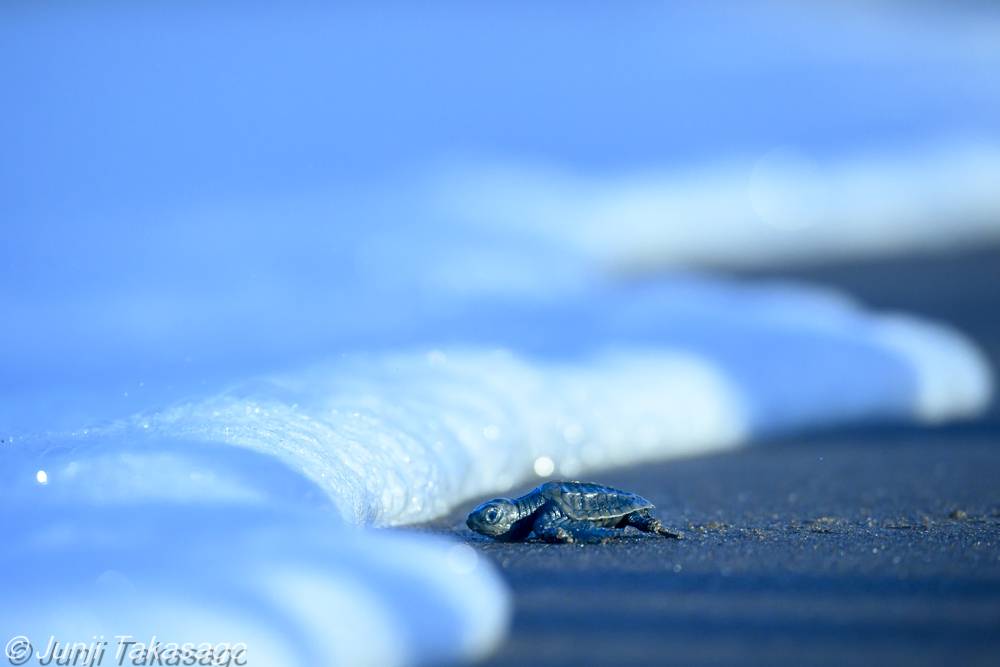 高砂淳二 写真集「PLANET of WATER」4