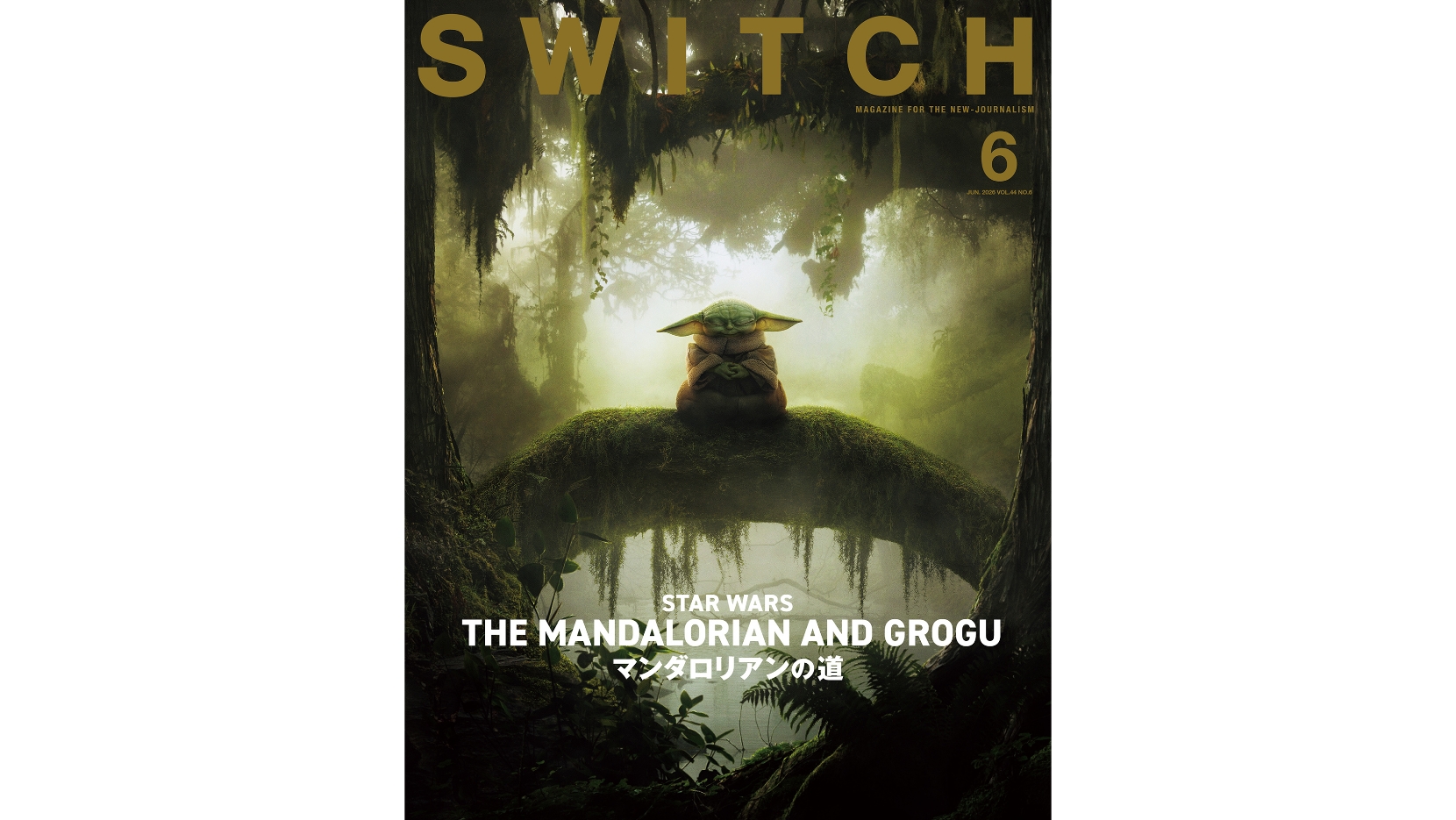SWITCH アーカイブ – SWITCH ONLINE